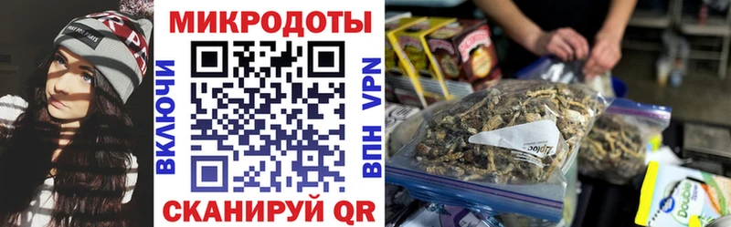 Псилоцибиновые грибы Psilocybine cubensis Дзержинский